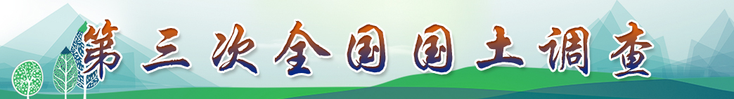 333.jpg